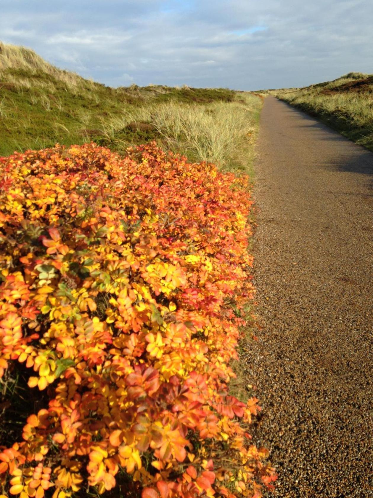 Reimer - Strandstrasse * Westerland
